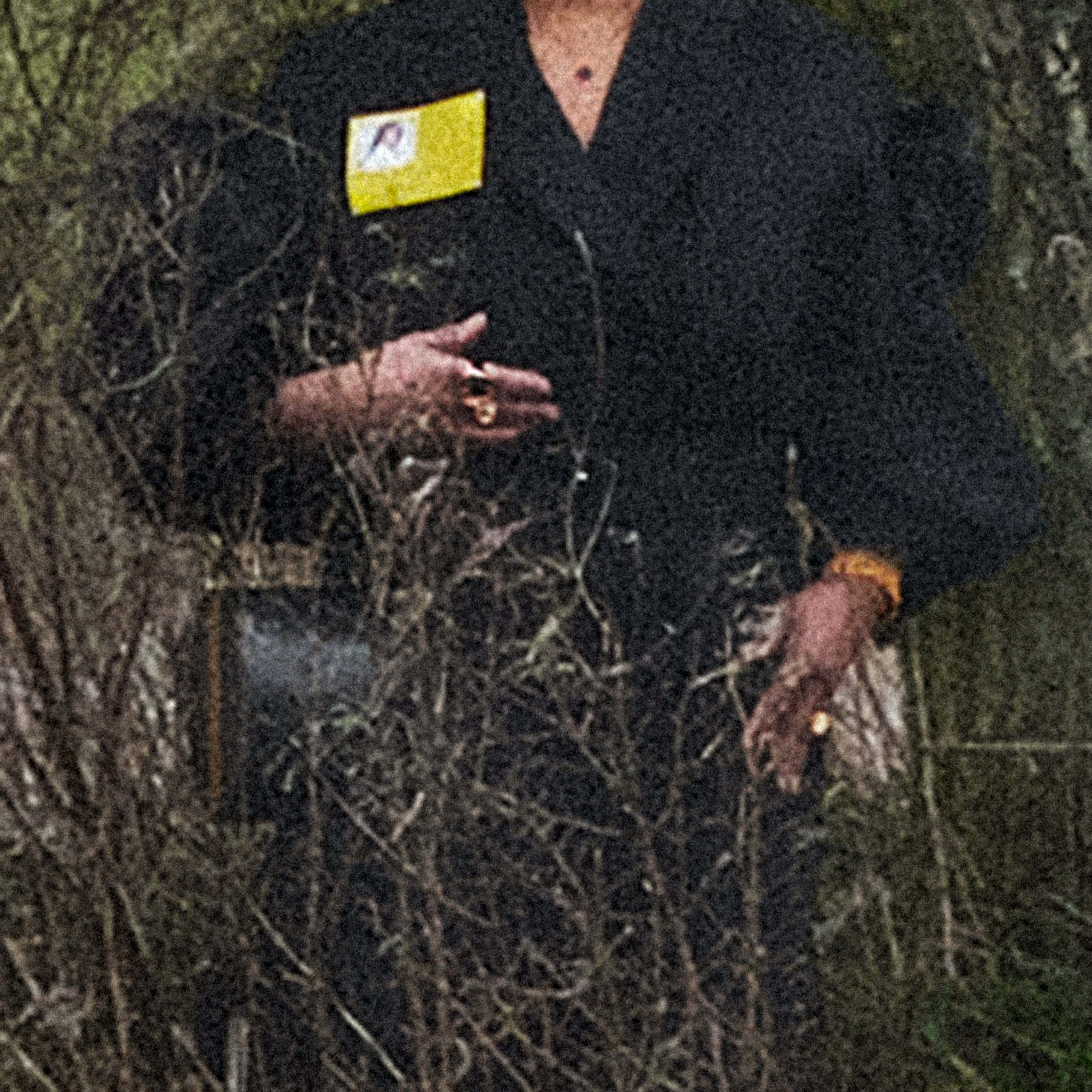 Jem Doulton – “Perfect Picture”