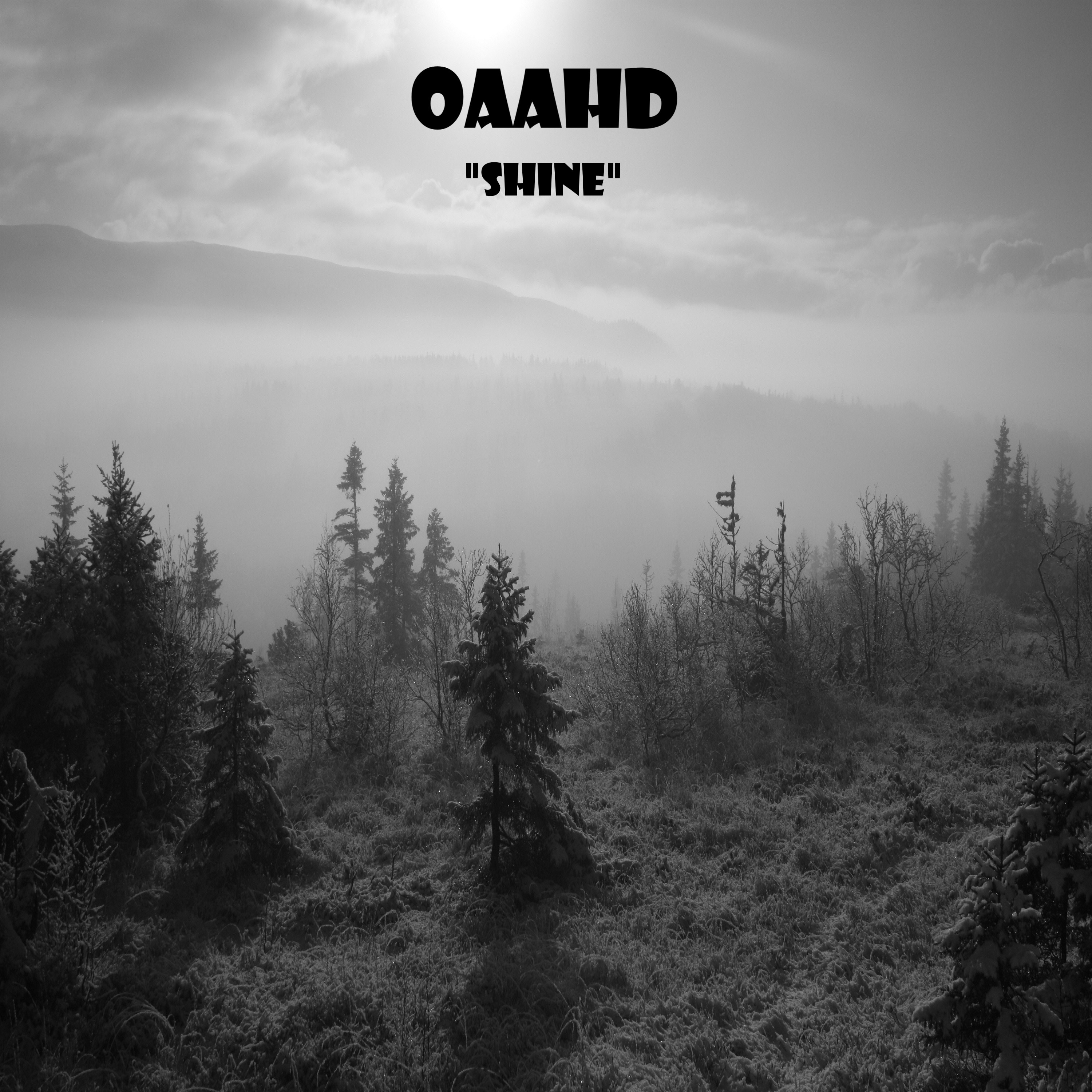One And A Half Dog – “Shine”