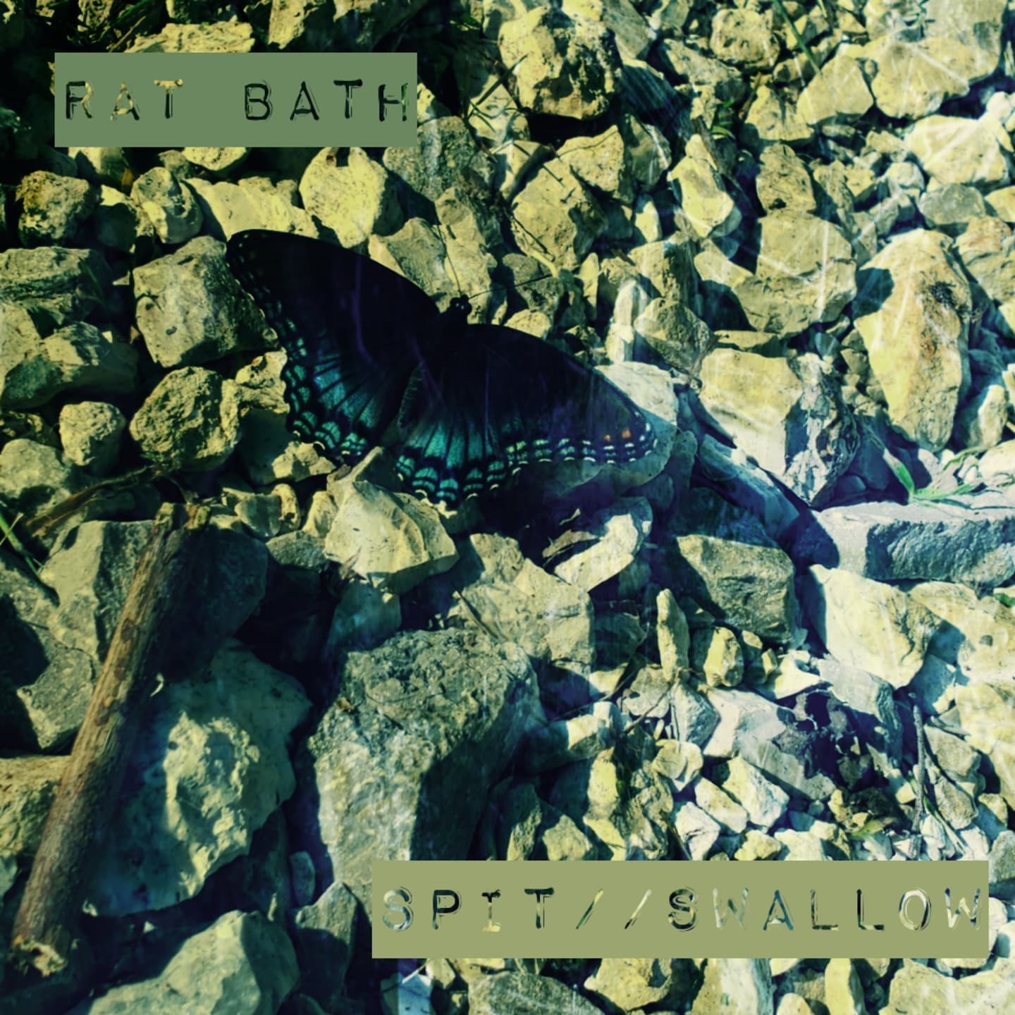 RAT BATH – “SPIT//SWALLOW”