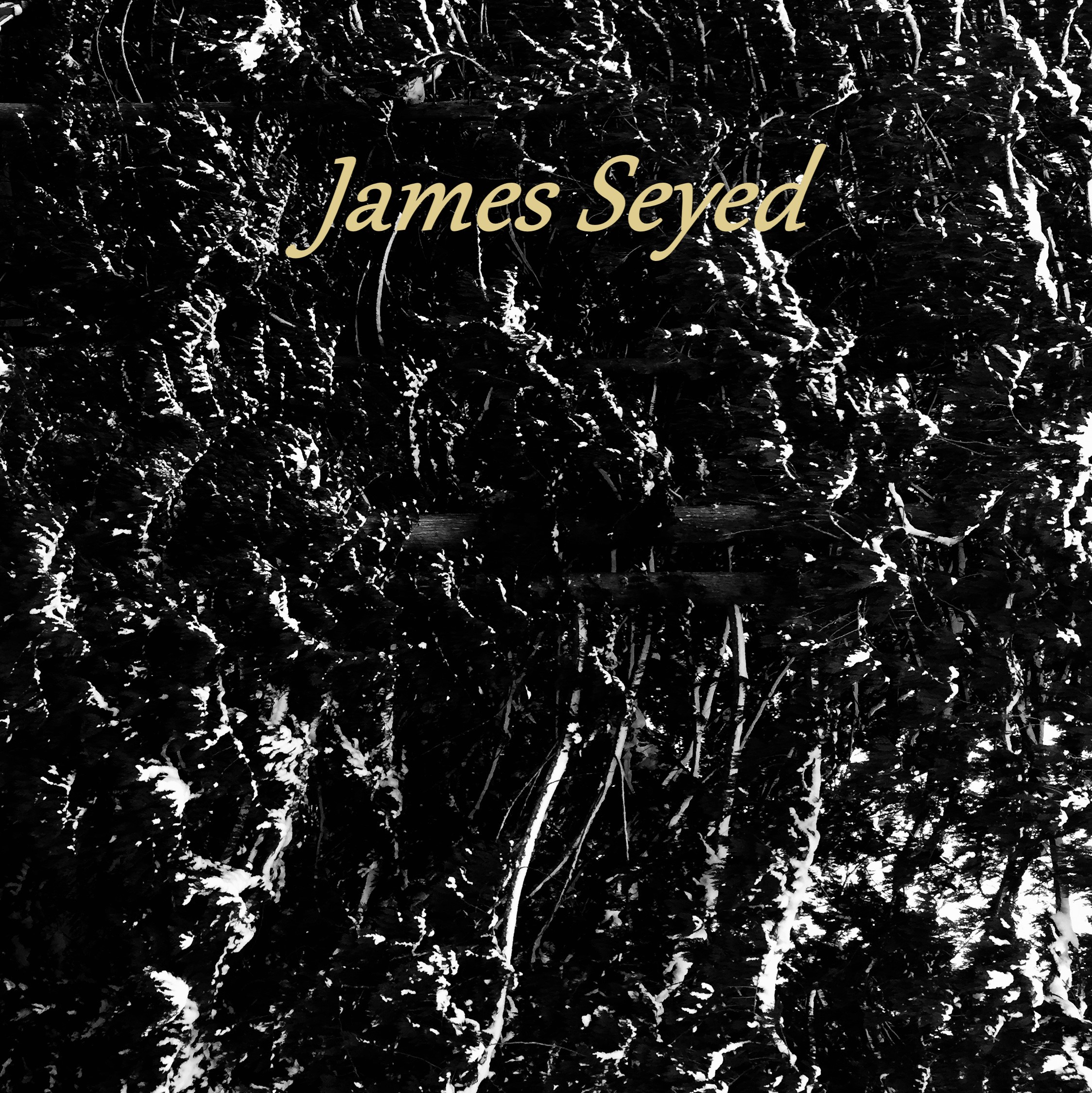 James Seyed “The Place That I Used To Know”