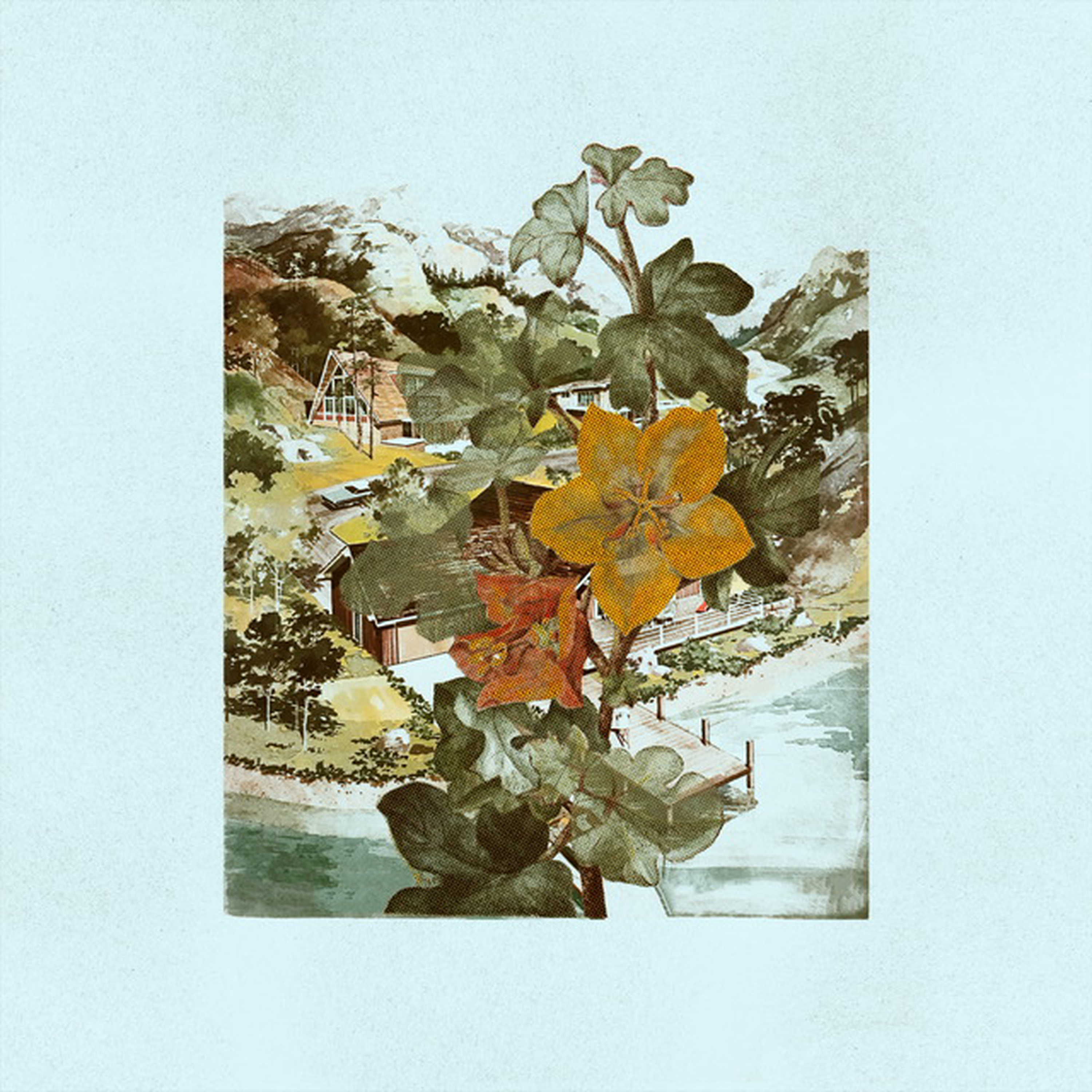 Seasoning – “Del Boca Vista”