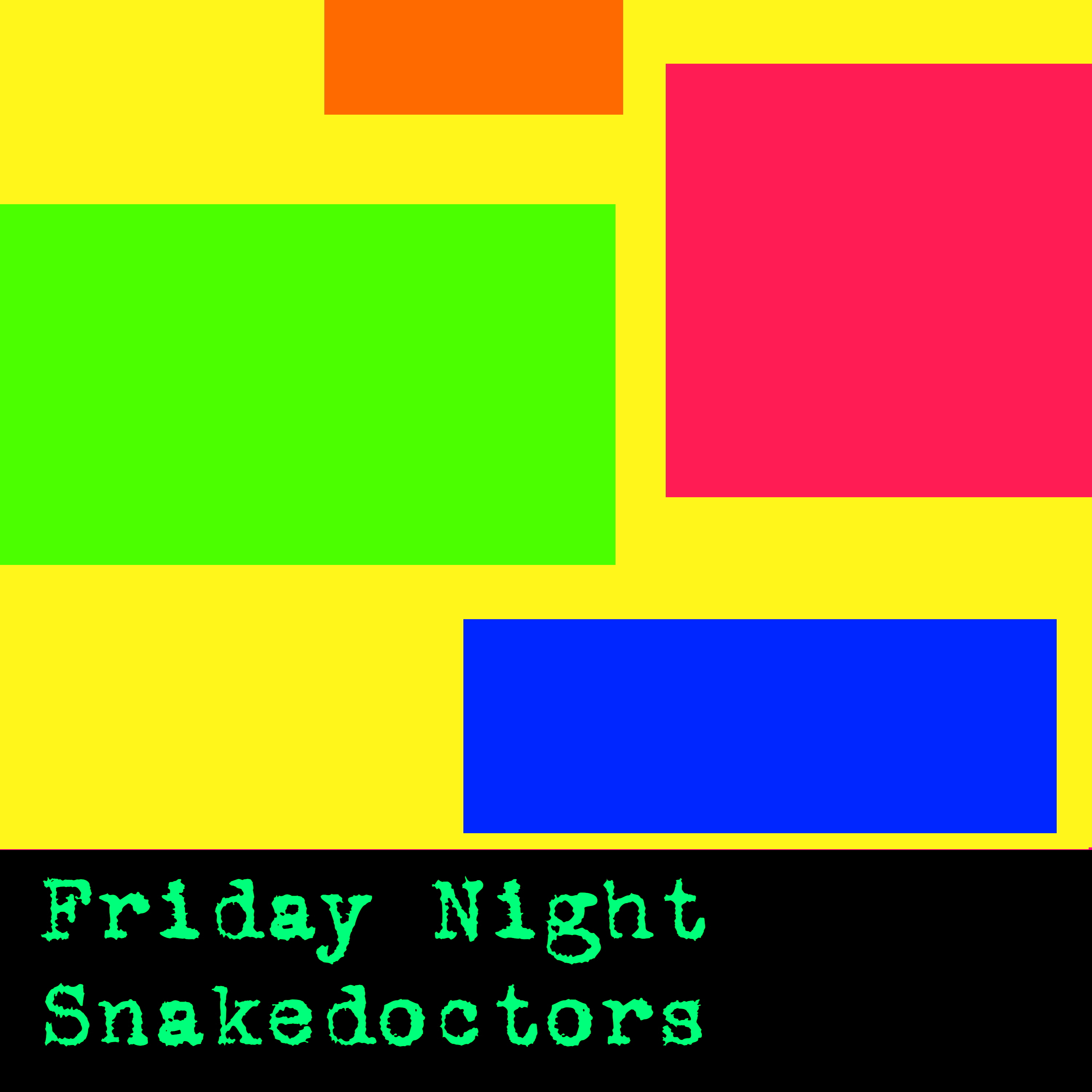 Snakedoctors “Friday Night”
