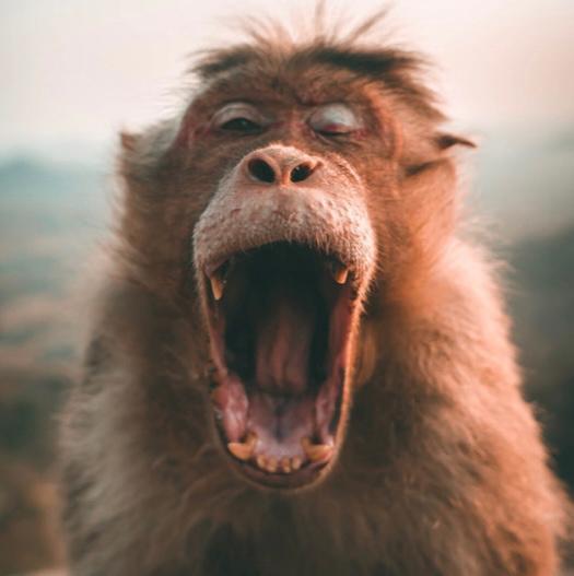 Bad Blood – “A Birthmark On My Hip”