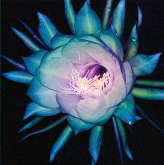 End of Days: “Armour” by HKG