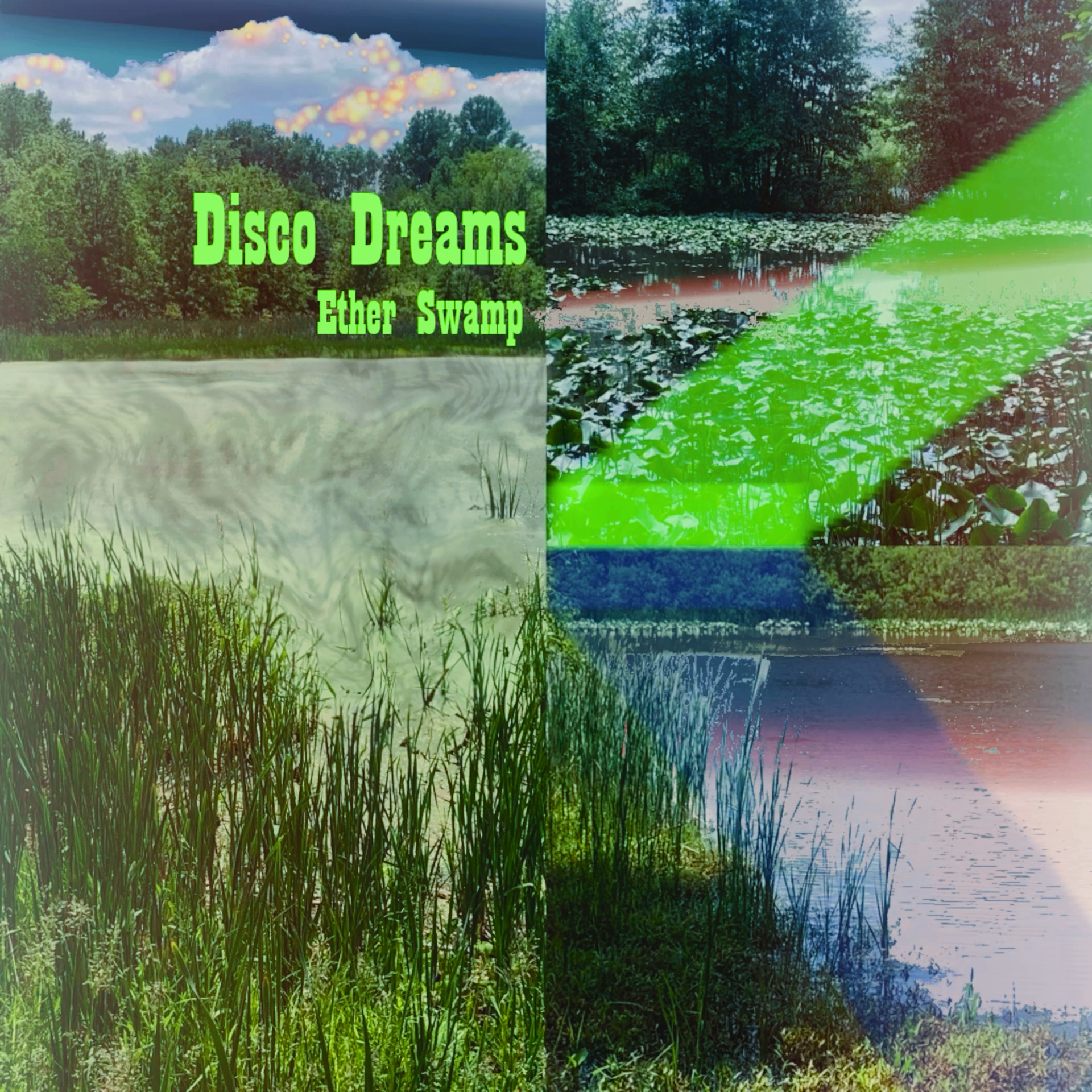 Disco Dreams “Ether Swamp”