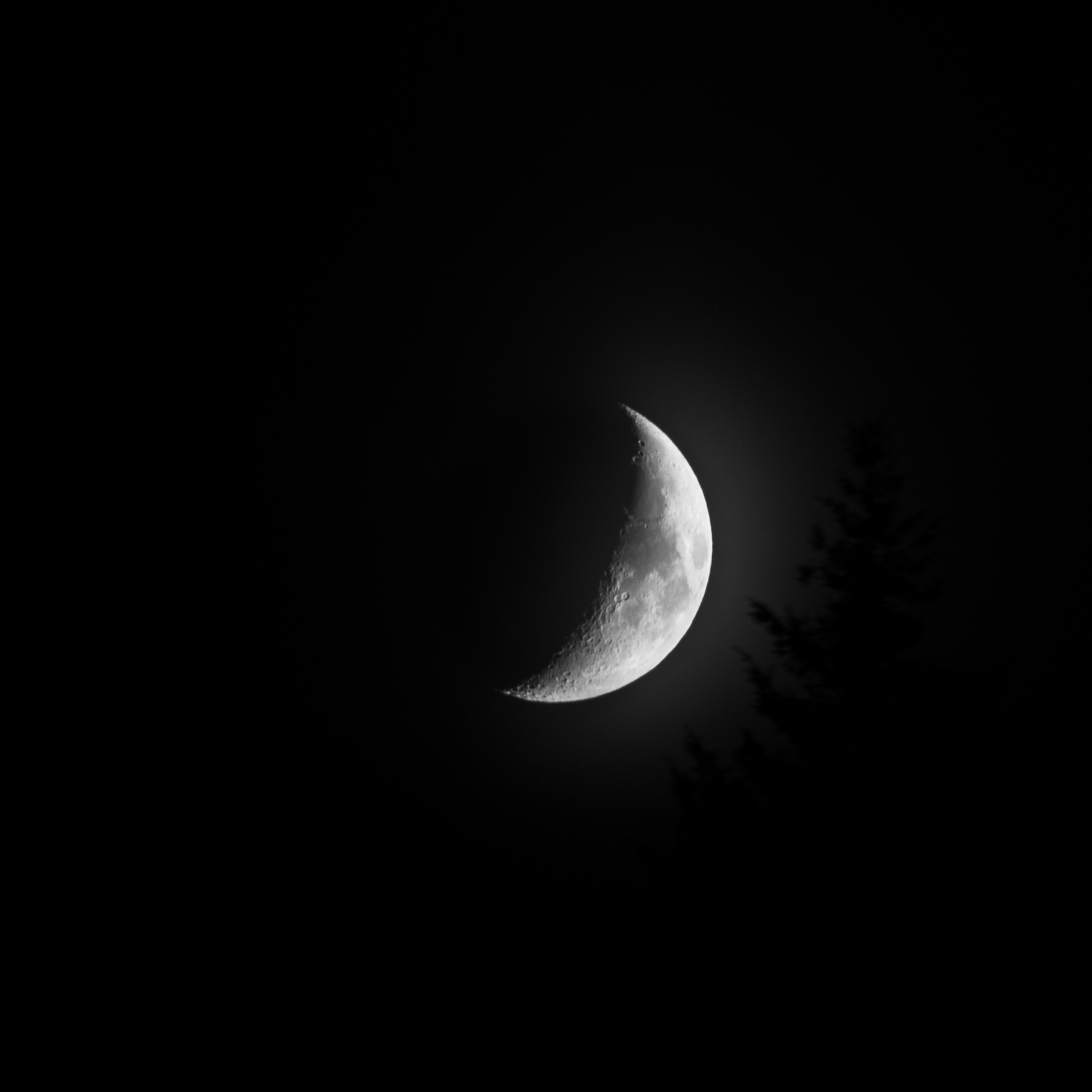 Moses Mikheyev – “Black Sky, White Moon”