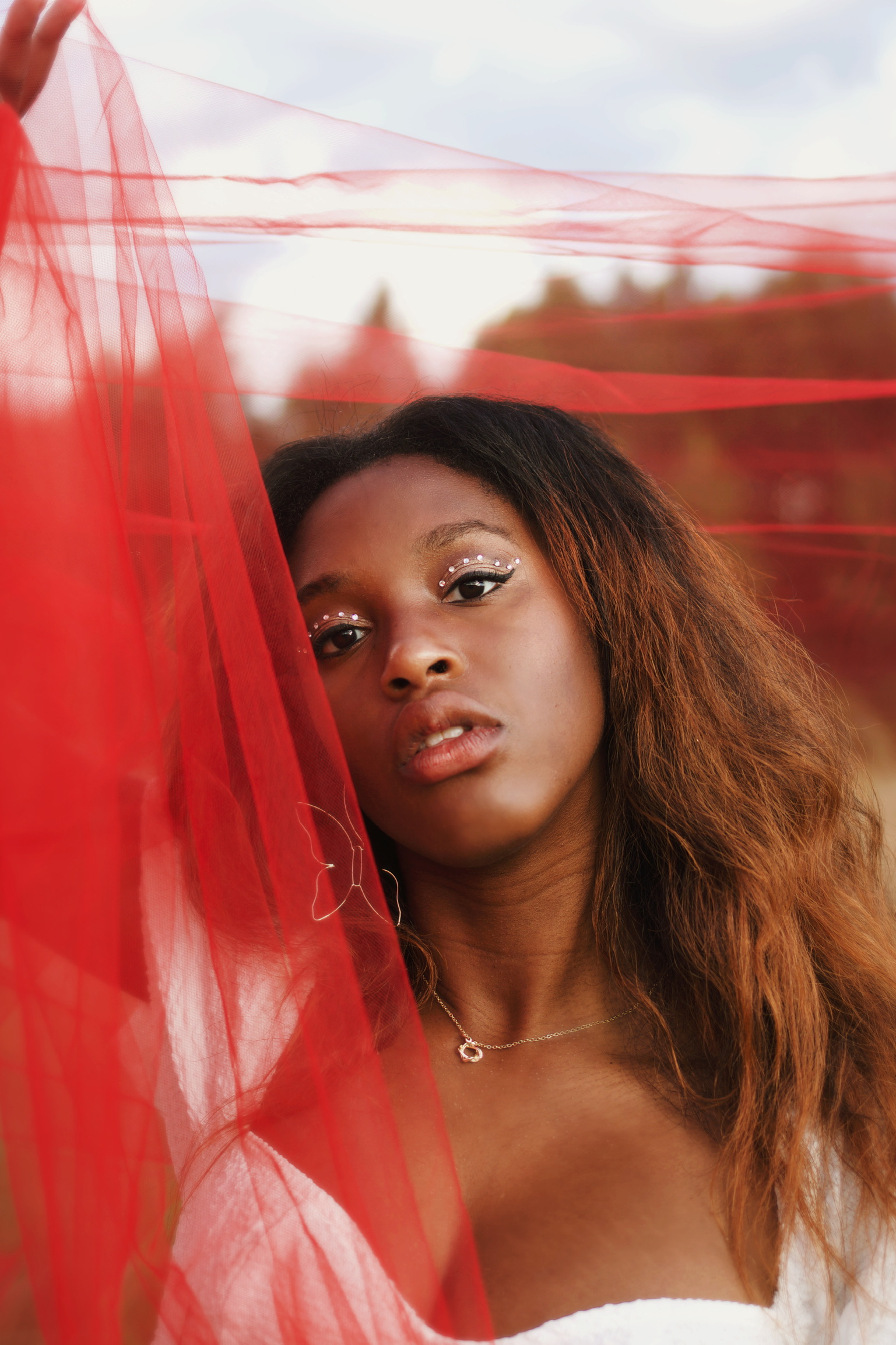 The Incredible Ari Raine