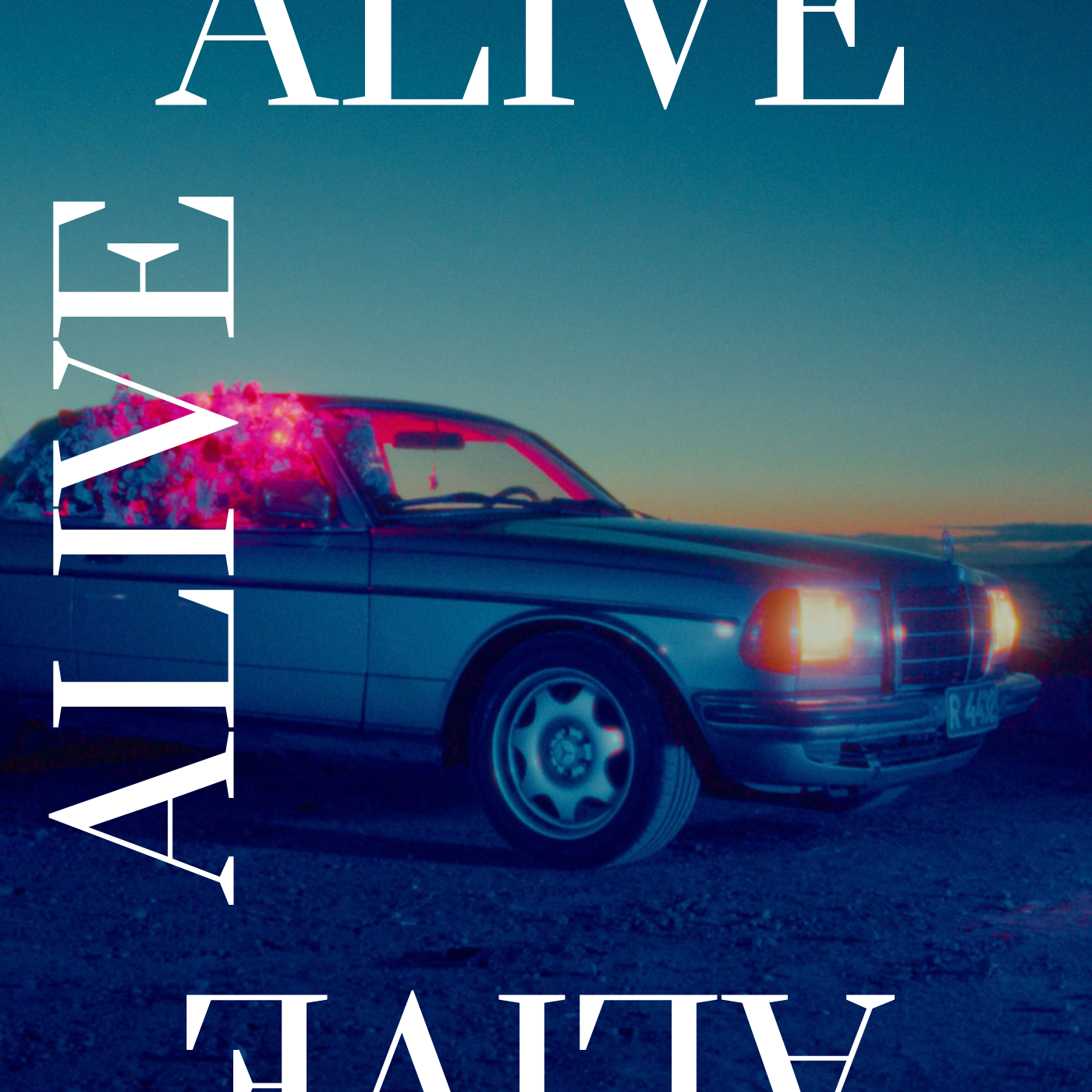 Karma Brigade “Alive”