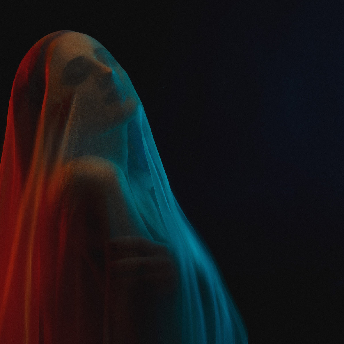 Catherine Elms- I Have Seen It, I Do Not Fear It