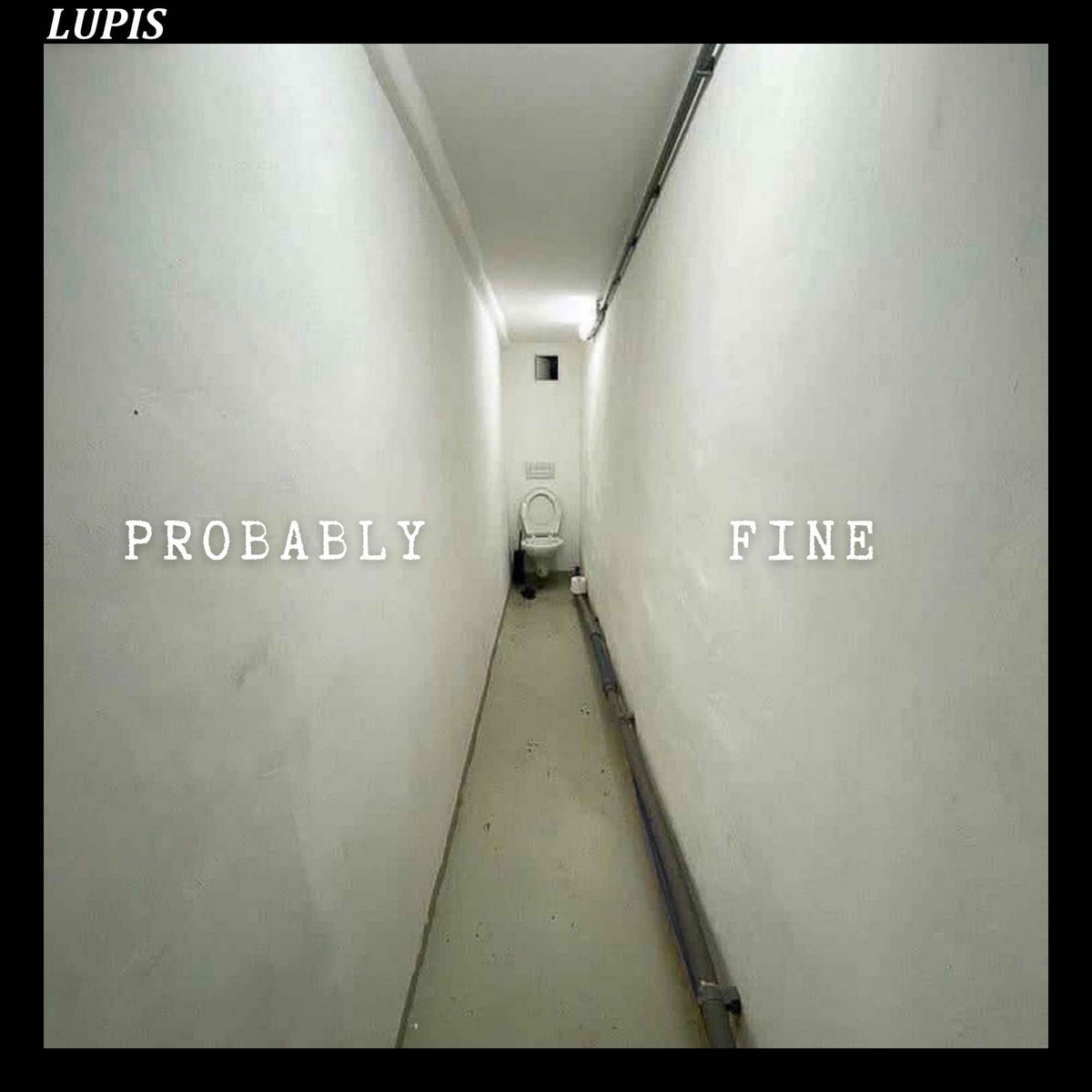 Lupis. It’s Probably More than Fine.