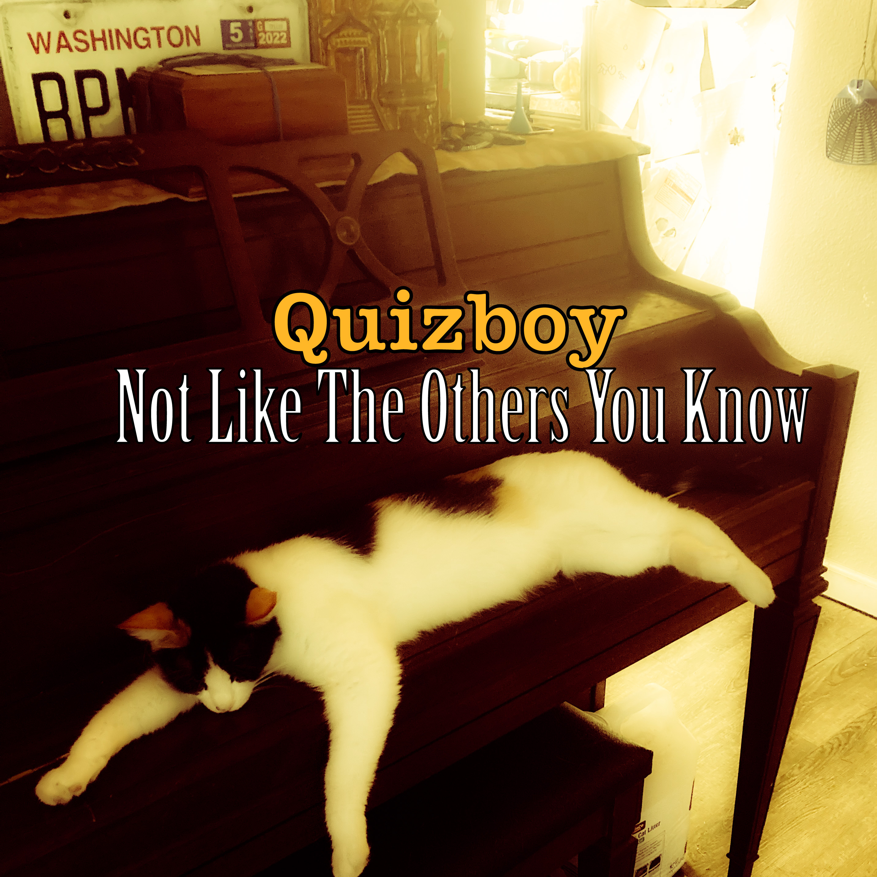 Quizboy – “Not Like The Others You Know”