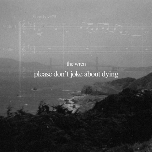 The Wren – tender & full of love “please don’t joke about dying”