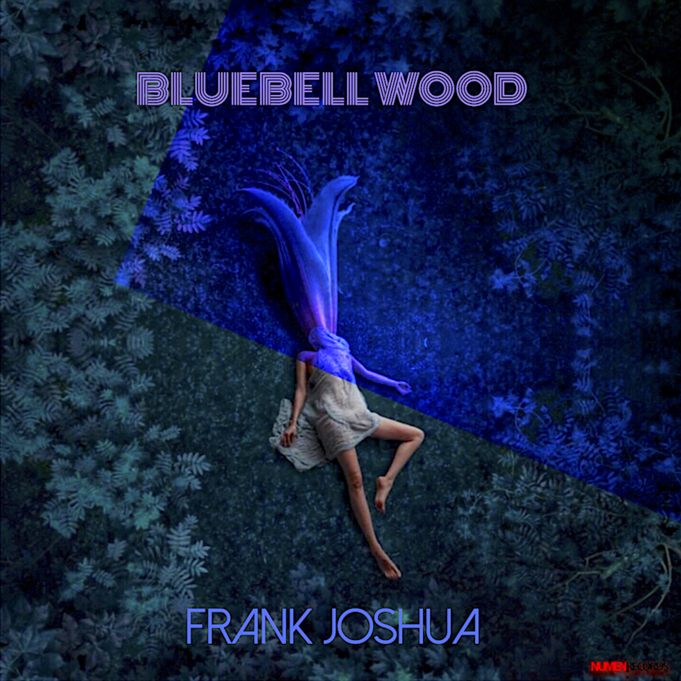 Frank Joshua’s in love in “Bluebell Wood”