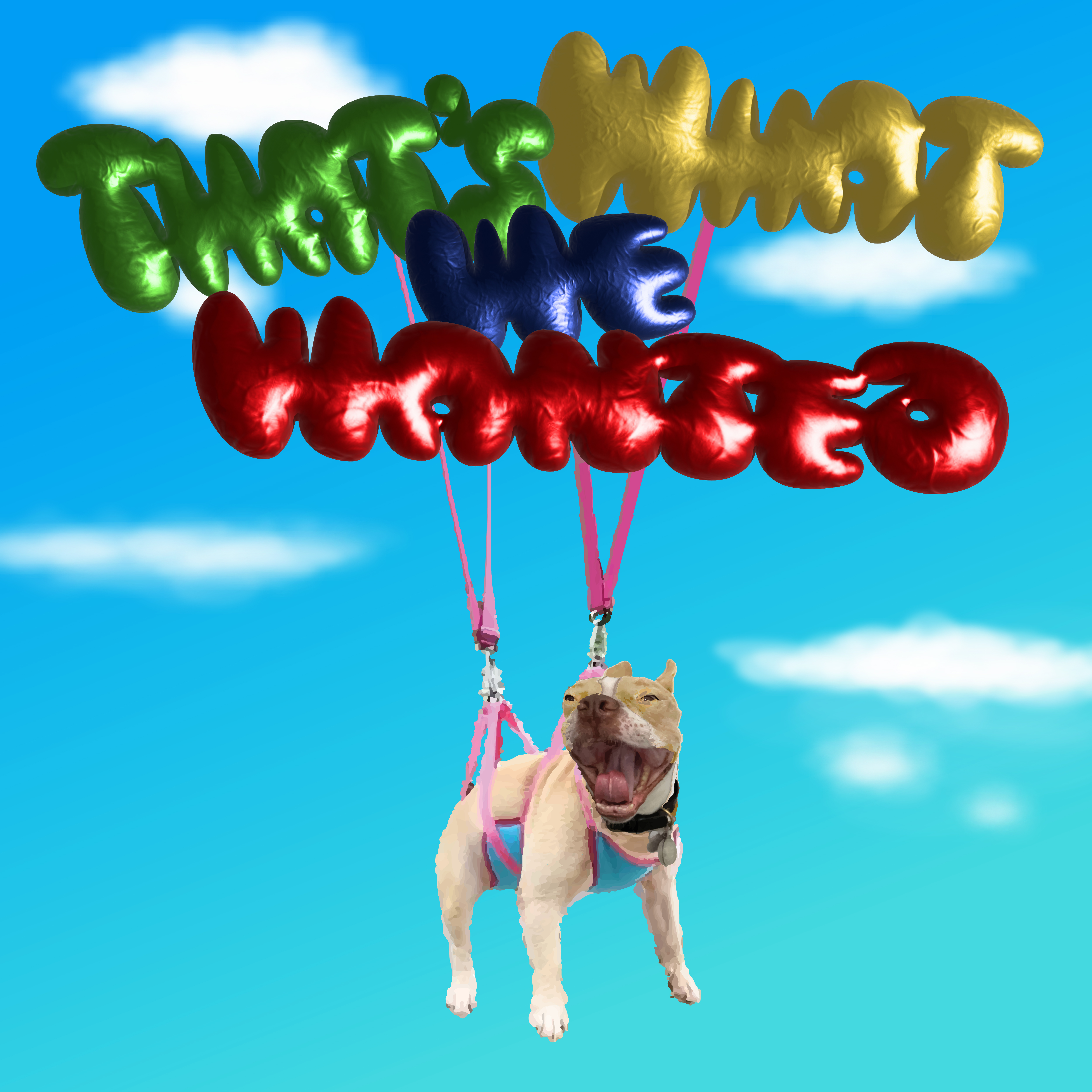 Dogboy’s great debut “That’s What We Wanted”