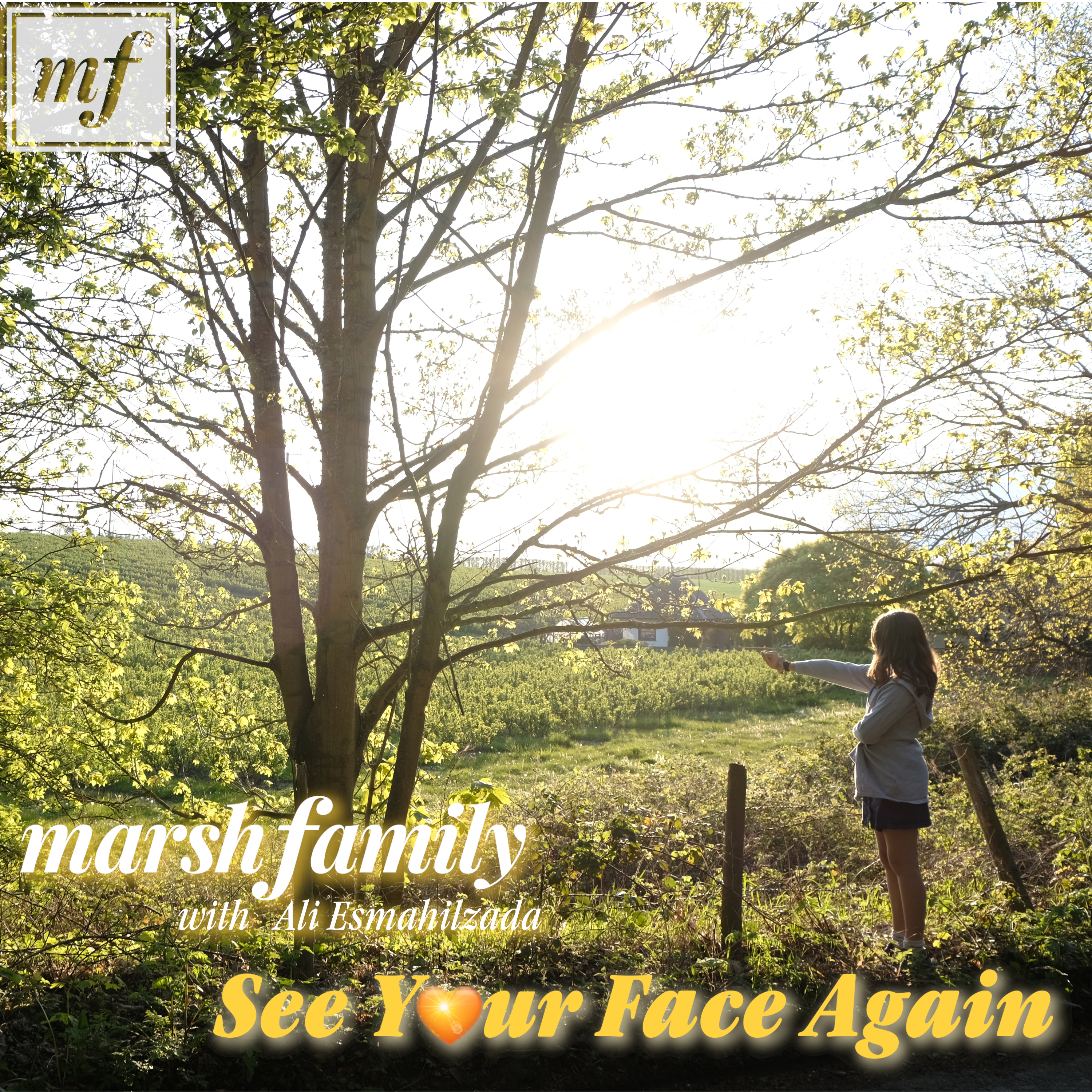 The Marsh Family "See Your Face Again" artwork