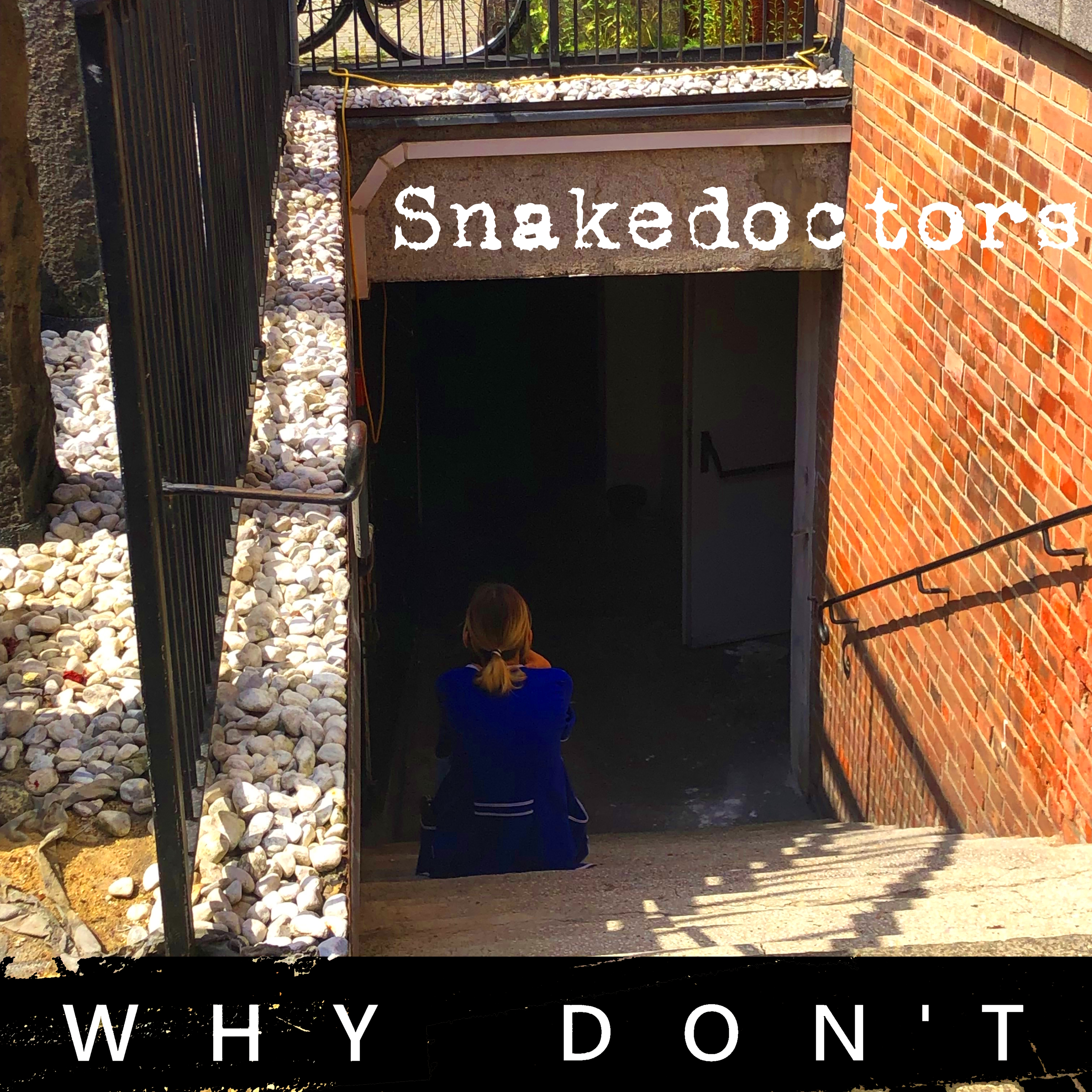 Snakedoctors "Why Don't" artwork