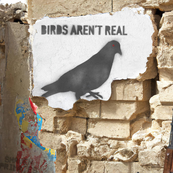 Shaven Primates "Birds Aren't Real" artwork