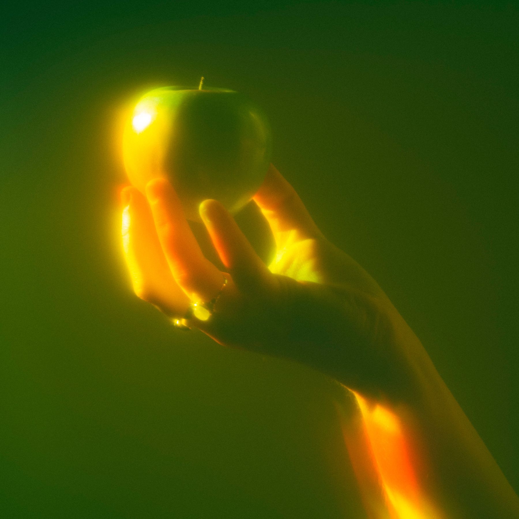 Marlene Larsen "I'm Said I'm Fine" artwork