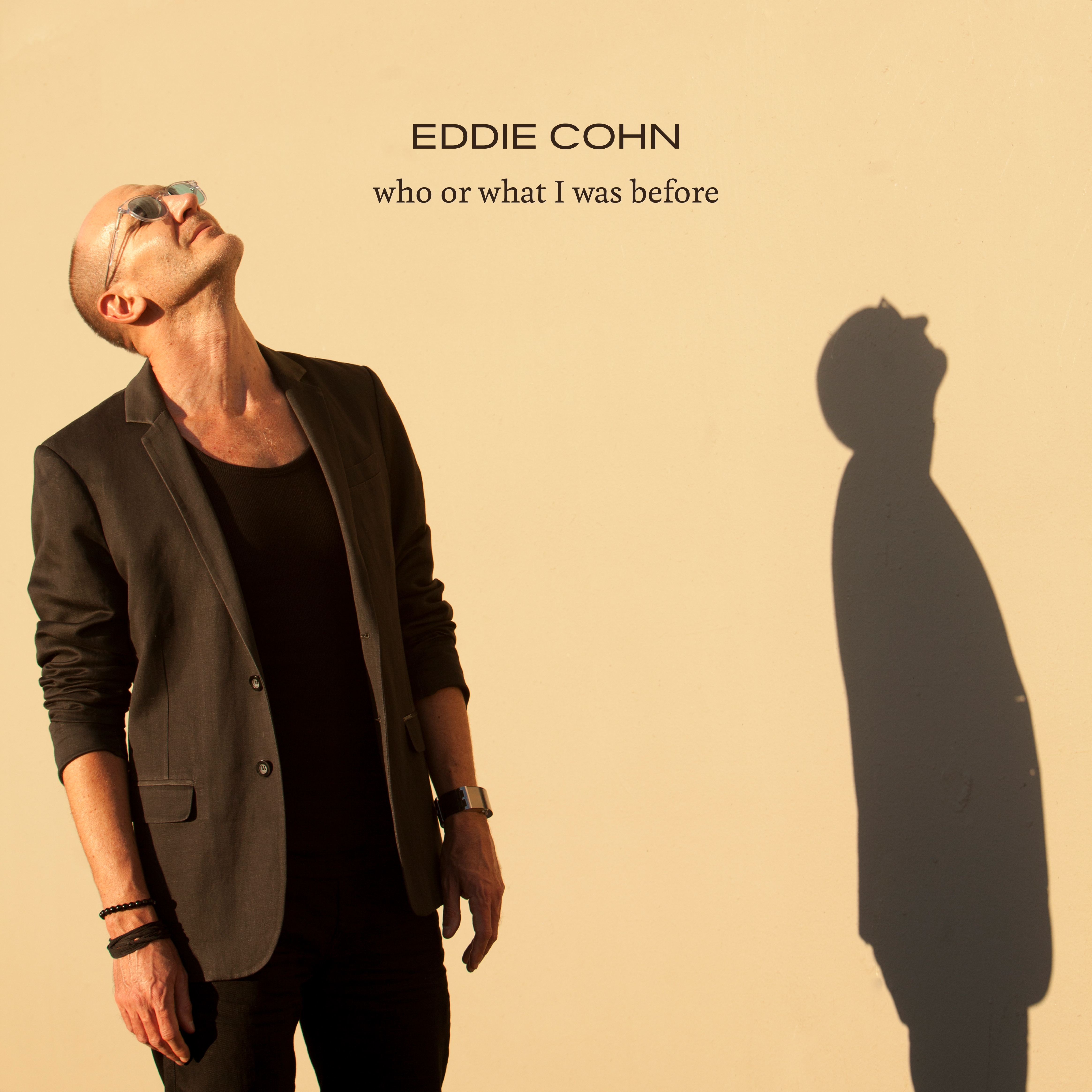 Eddie Cohn "Who or What I was Before" artwork
