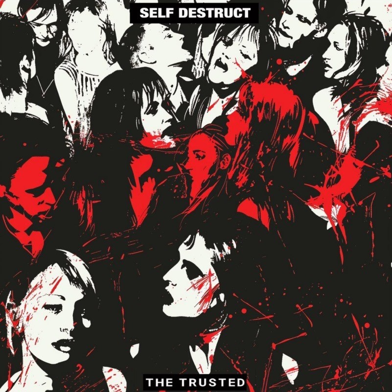 The Trusted "Self Destruct" artwork