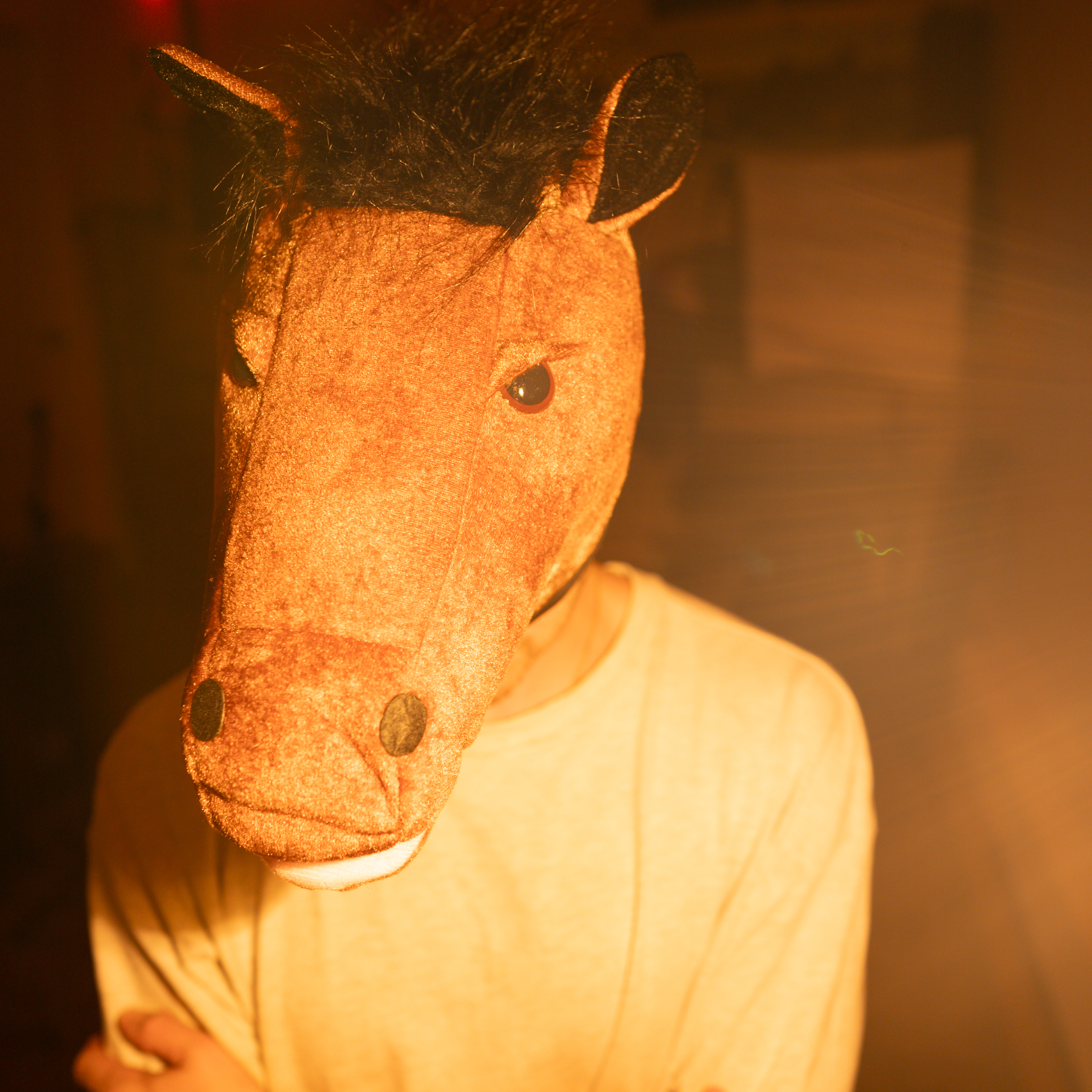 Horsebread “Cant”