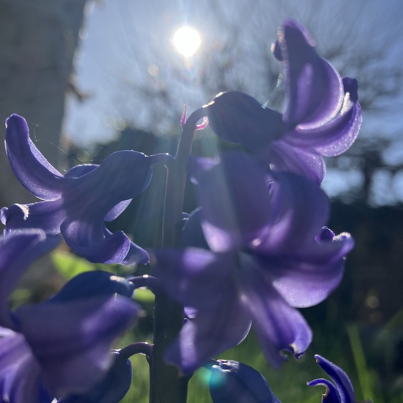 Arrows of the Sun releases a nostalgic song of everchanging love of a human, titled “You and Me and the Trauma”