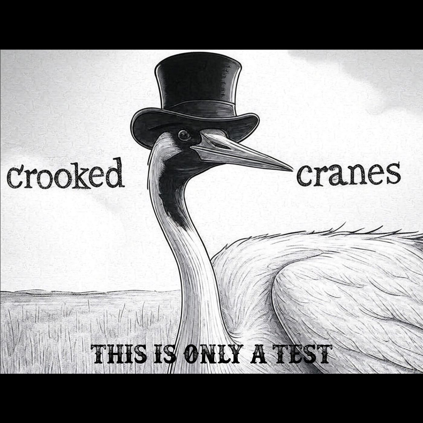 Crooked Cranes This is Only a Test Artwork