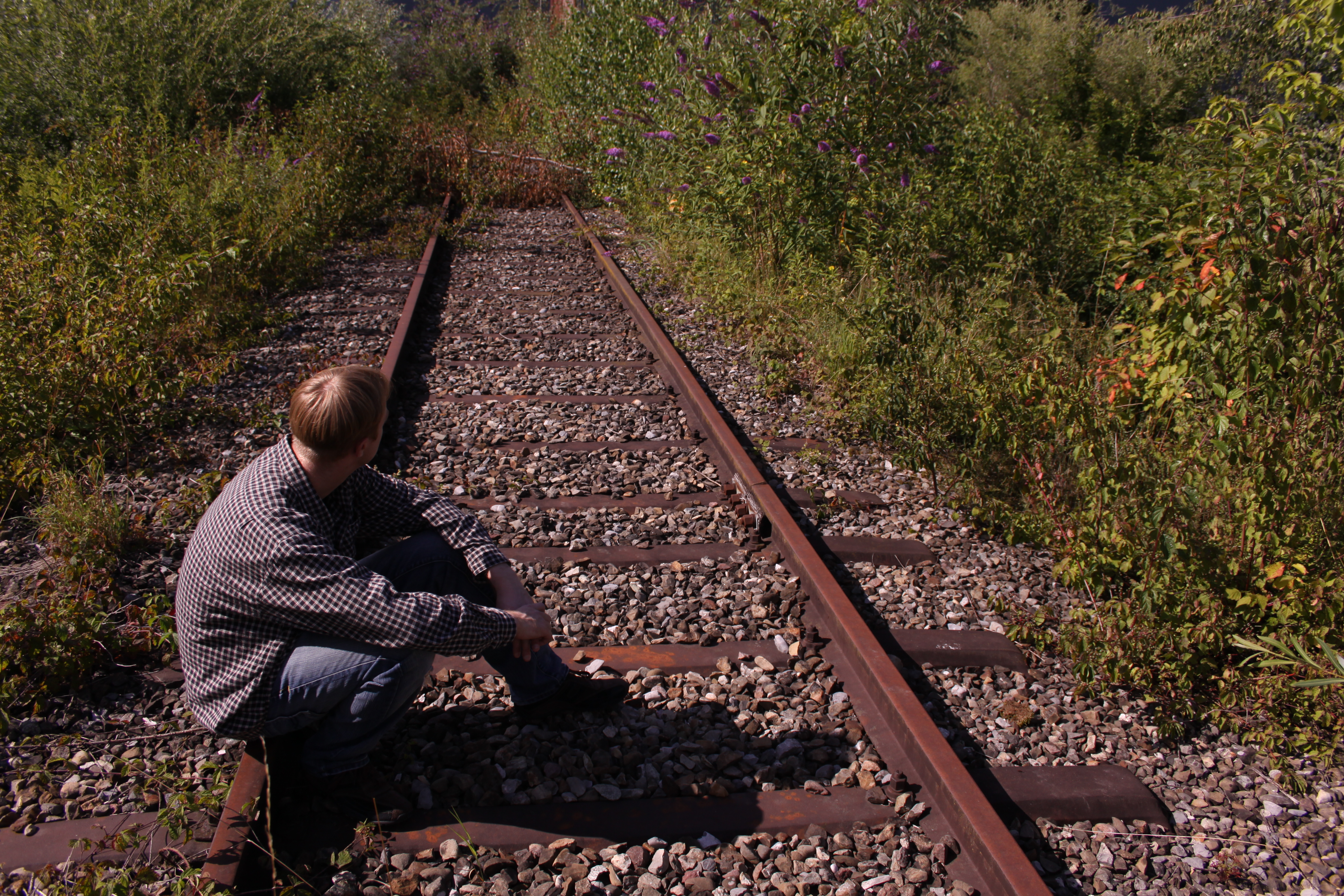 Alex Wellkers Reach The Stars Article Cover