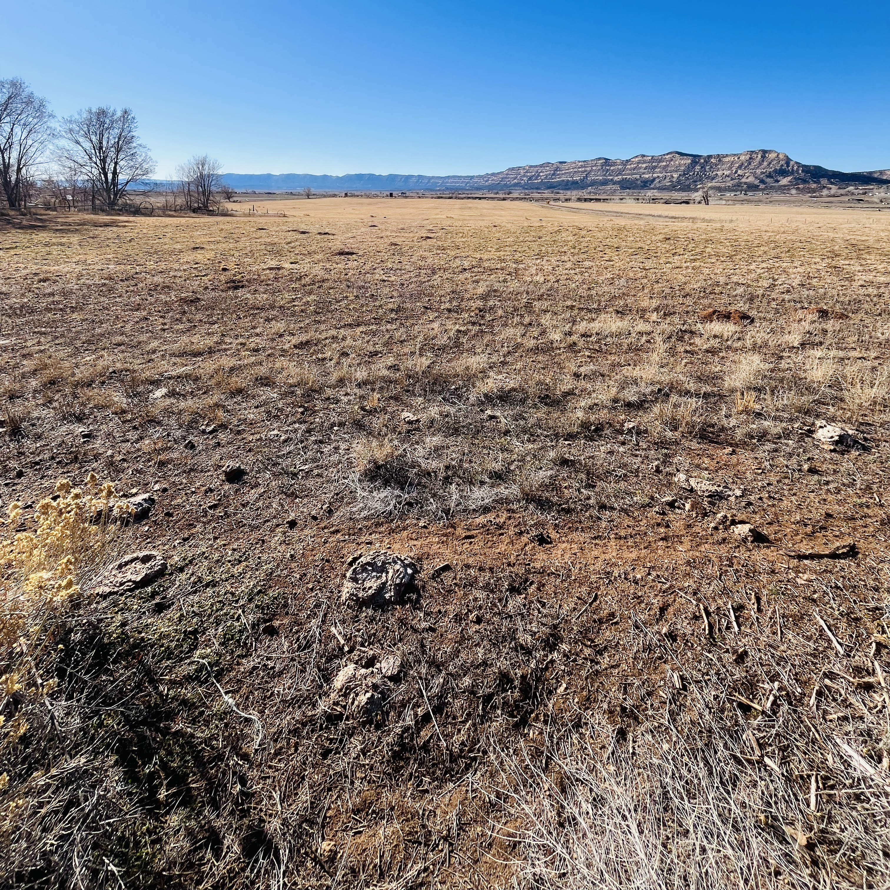 Danny Django Article Cover Oh Me Oh My